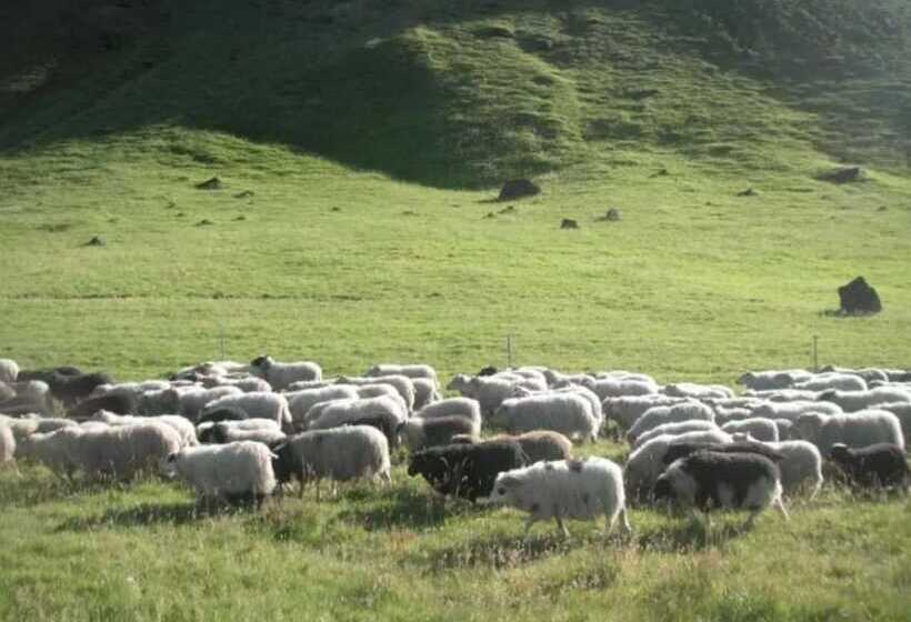 پانسیون Guesthouse Vellir