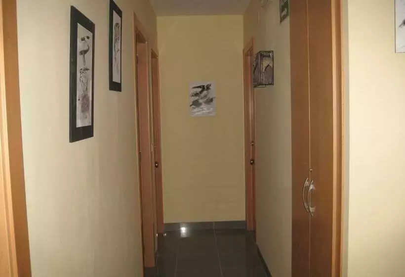 ペンション Hostal Ducal