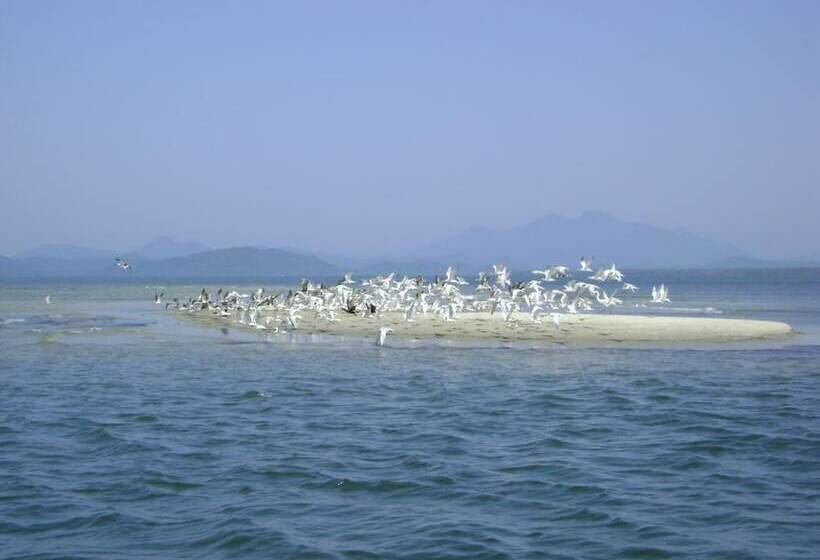 بنسيون Recanto Do Sol