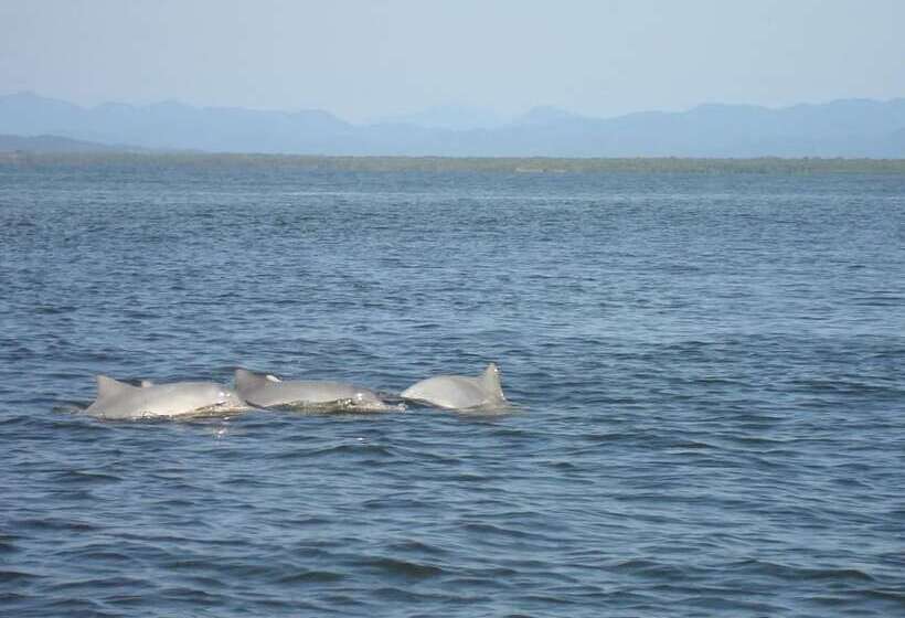 بنسيون Recanto Do Sol