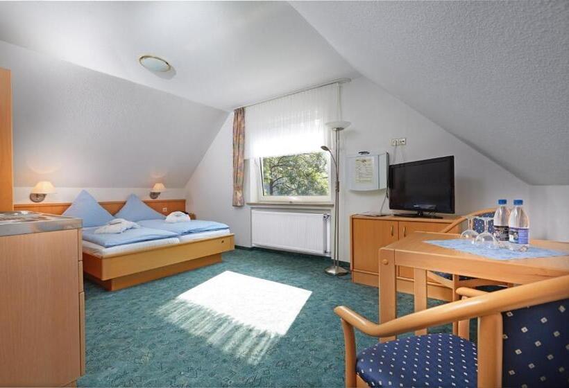 פנסיון Tommes Gästehaus Zur Mühle