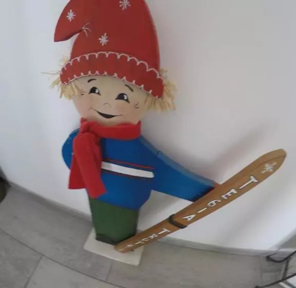 Majatalo Ustria / Pensiun Trutg