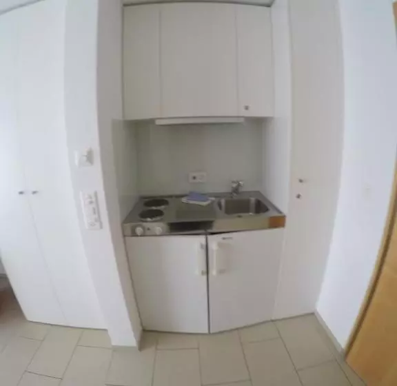 Majatalo Ustria / Pensiun Trutg