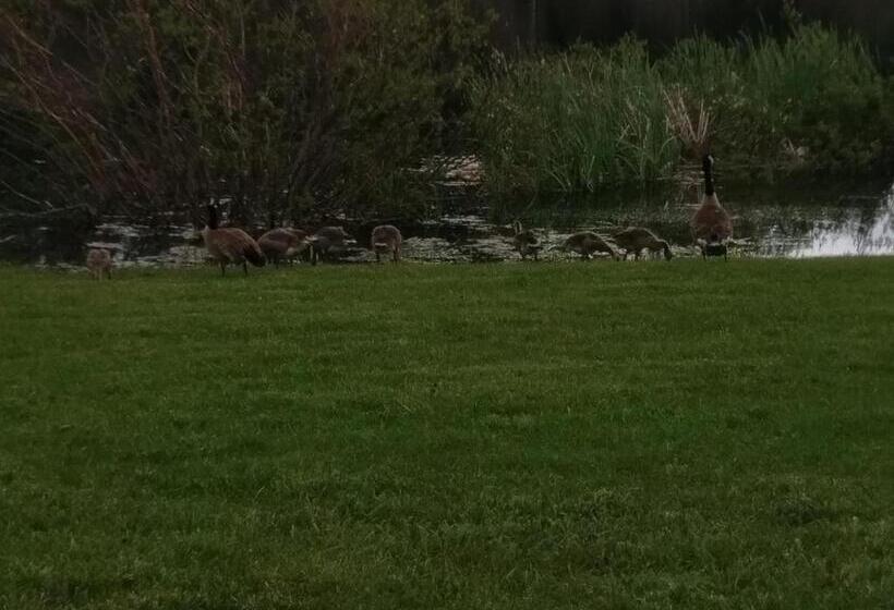 فندق صغير Duck Lake Lodge