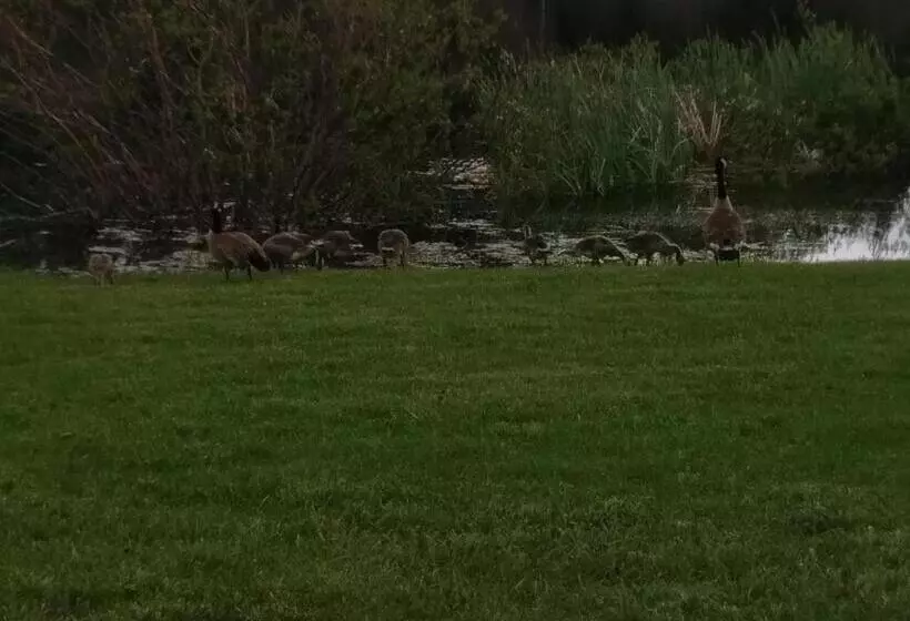 ユースホステル Duck Lake Lodge