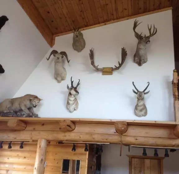 ユースホステル Duck Lake Lodge