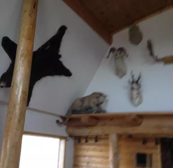 ユースホステル Duck Lake Lodge