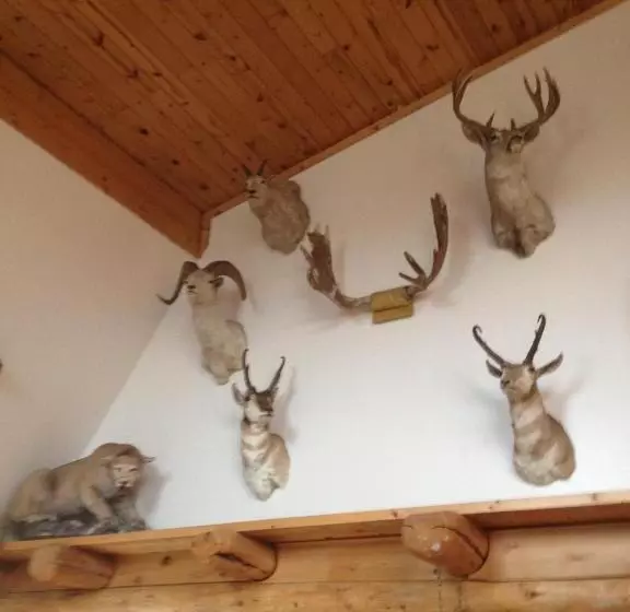 ユースホステル Duck Lake Lodge