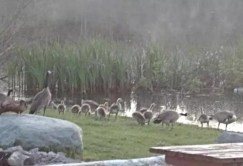 ユースホステル Duck Lake Lodge