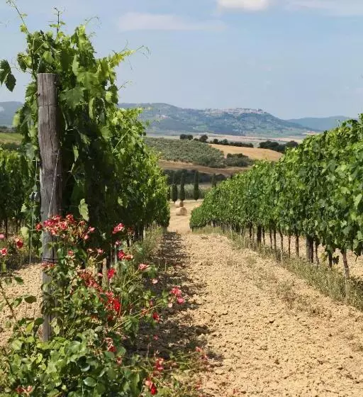 ホテル Agriturismo Bagnaia