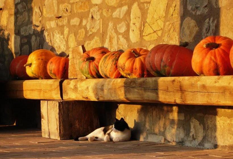 ホテル Agriturismo Selvella