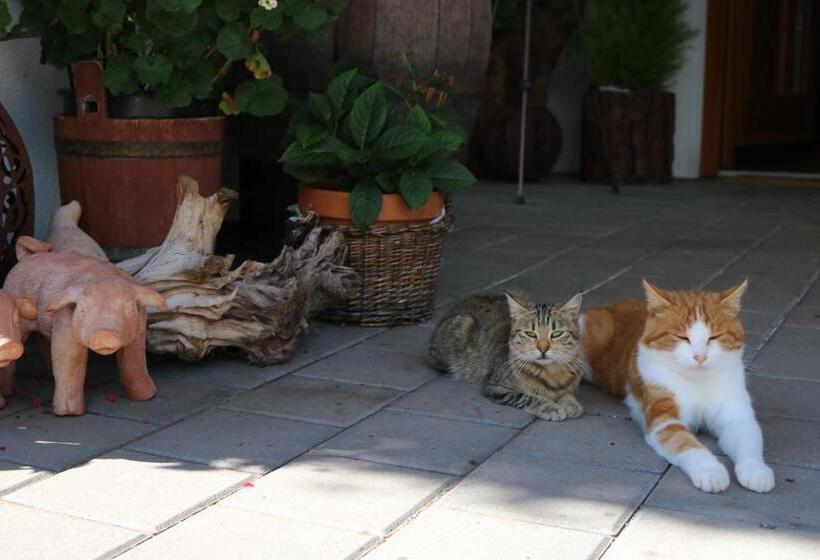 Отель Gasleidhof