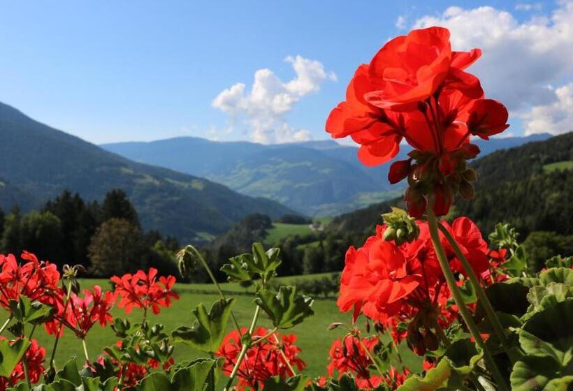 Отель Gasleidhof