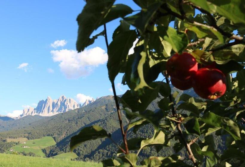 Отель Gasleidhof