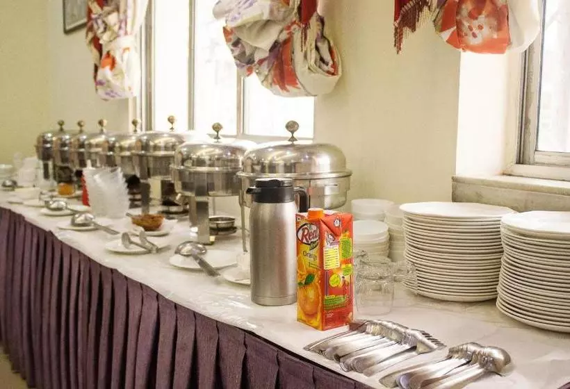 Oyo 988 Hotel Metropolis Inn