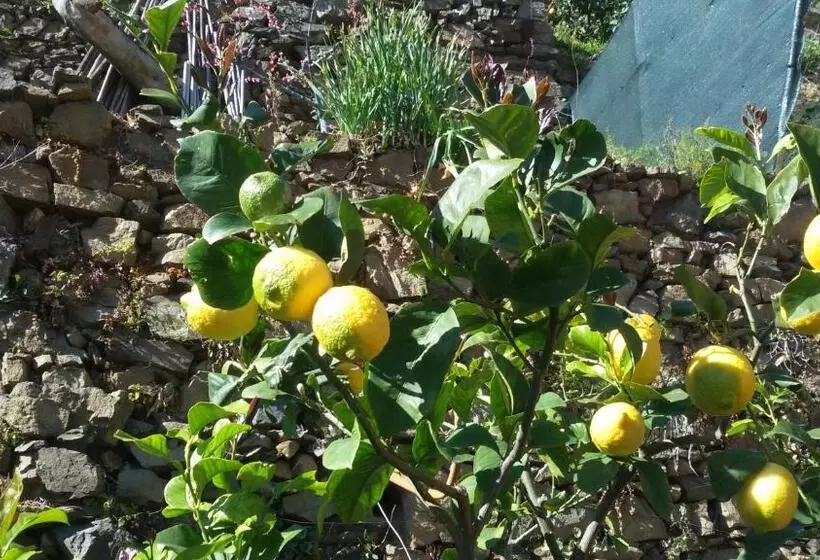 ペンション Affittacamere Da Paulin