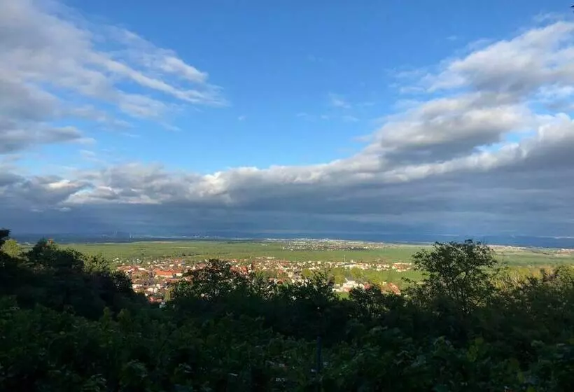 Majatalo Altstadt Residenz Manz