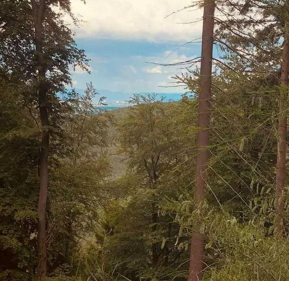 Majatalo Altstadt Residenz Manz