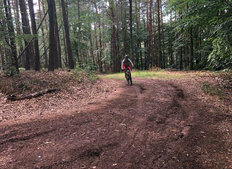 Pensionat Altstadt Residenz Manz