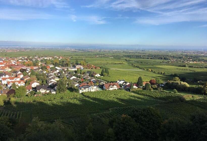 Pensionat Altstadt Residenz Manz