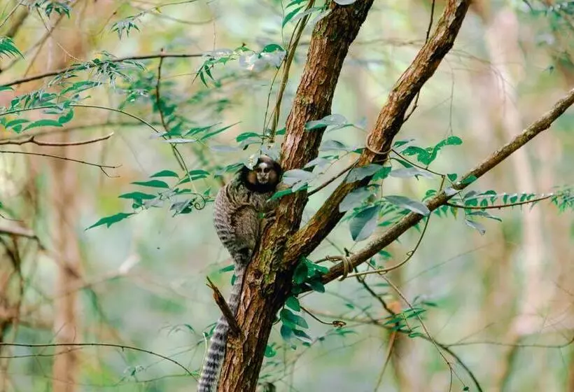 ペンション Pousada Do Capão Chapada Diamantina