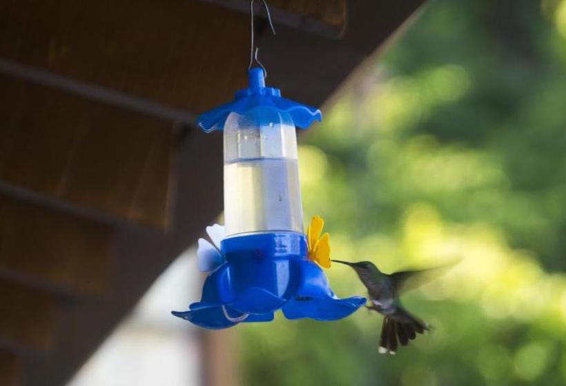 ペンション Pousada Ilhabela