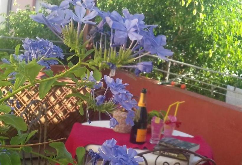 膳宿费 S Attobiu B&b And Guest Houses