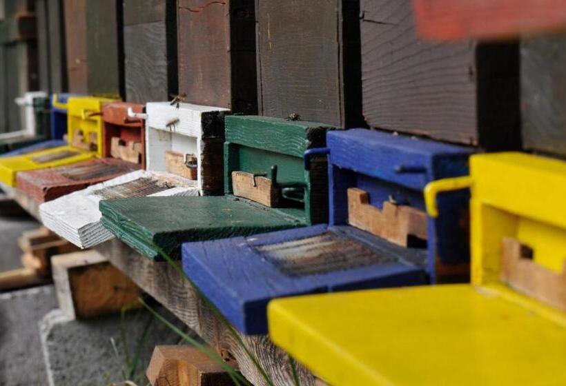 Residence Obermoarhof   Comfortable Apartments For Families, Swimmingpool, Playing Grounds, Almencar