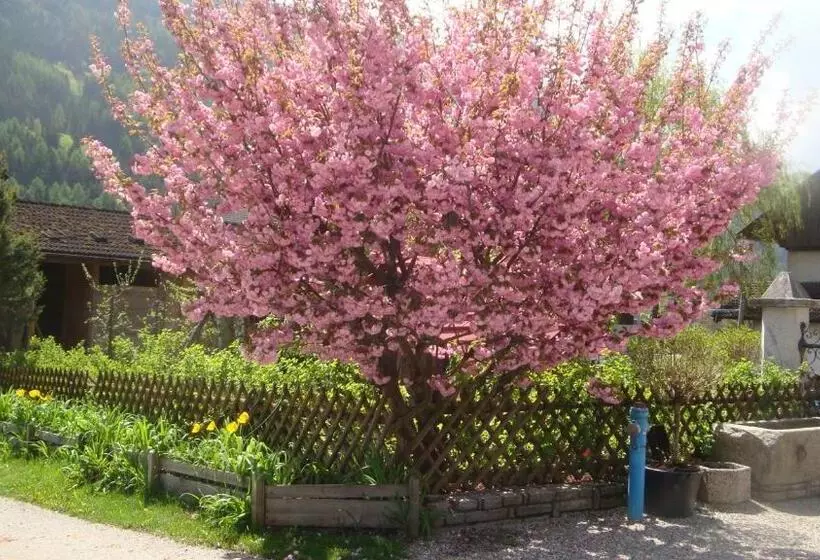 Residence Obermoarhof   Comfortable Apartments For Families, Swimmingpool, Playing Grounds, Almencar