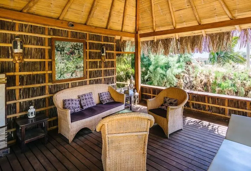 ユースホステル Kimbas Bungalows Mancora
