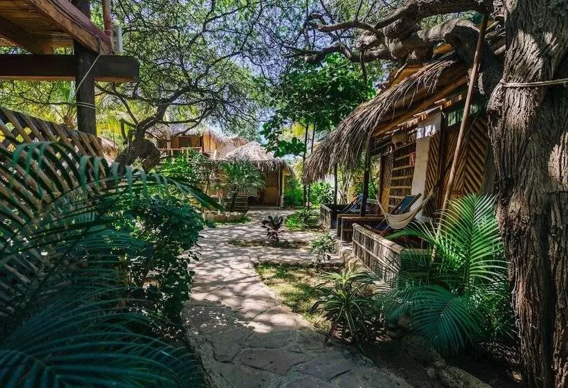 ユースホステル Kimbas Bungalows Mancora