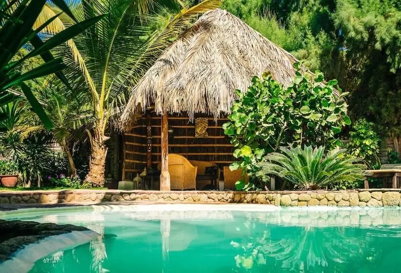 ユースホステル Kimbas Bungalows Mancora