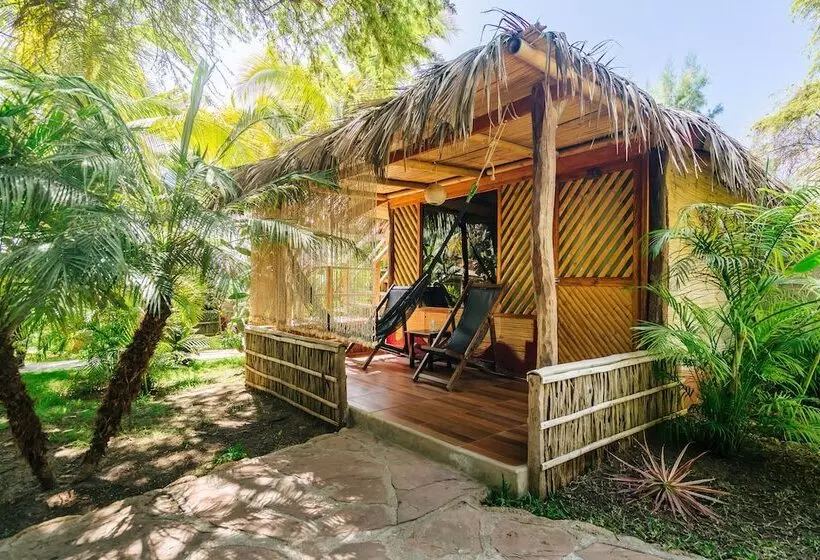ユースホステル Kimbas Bungalows Mancora