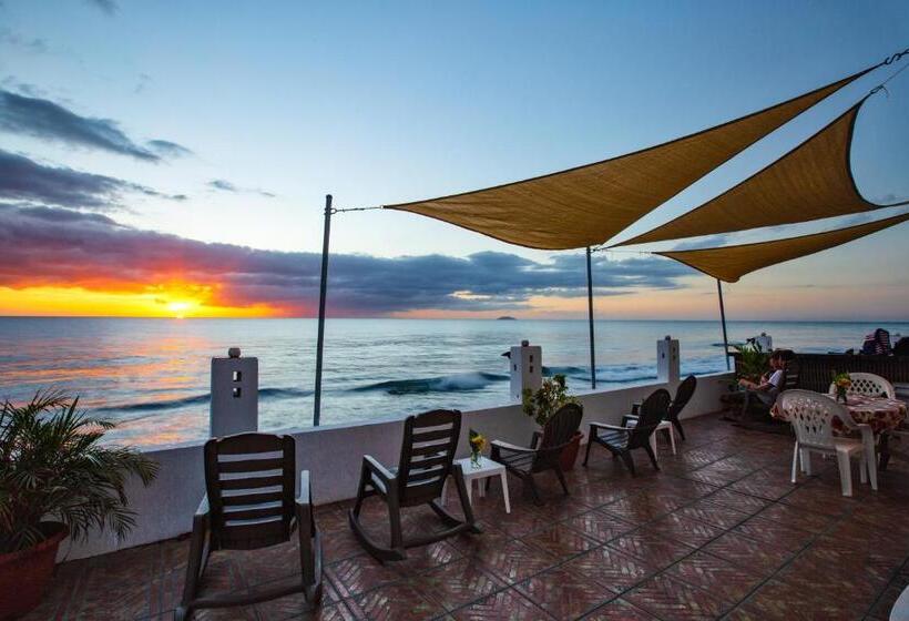 پانسیون Coconut Palms Inn