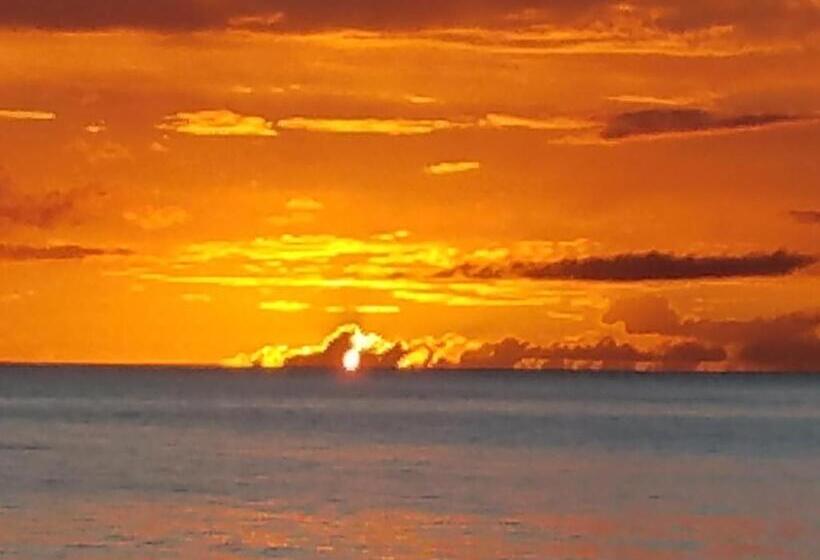 پانسیون Coconut Palms Inn