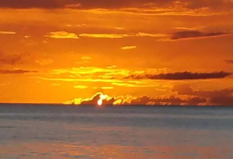 پانسیون Coconut Palms Inn