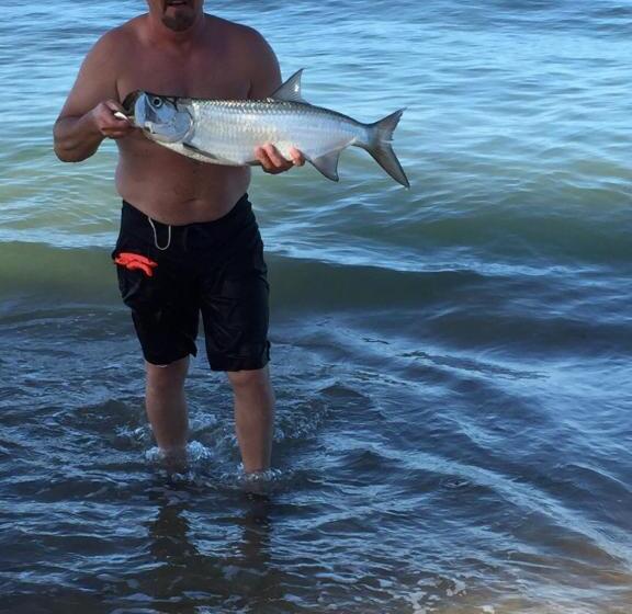 پانسیون Coconut Palms Inn