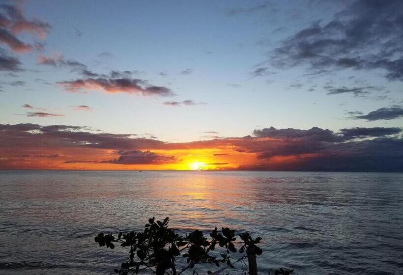 پانسیون Coconut Palms Inn