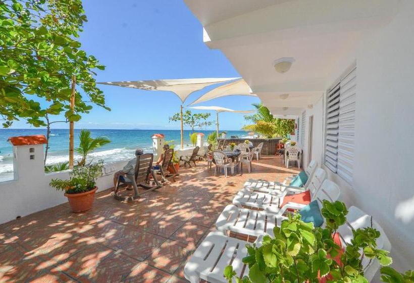 پانسیون Coconut Palms Inn