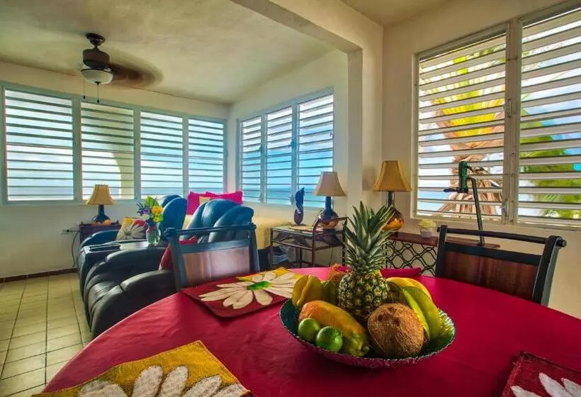 پانسیون Coconut Palms Inn