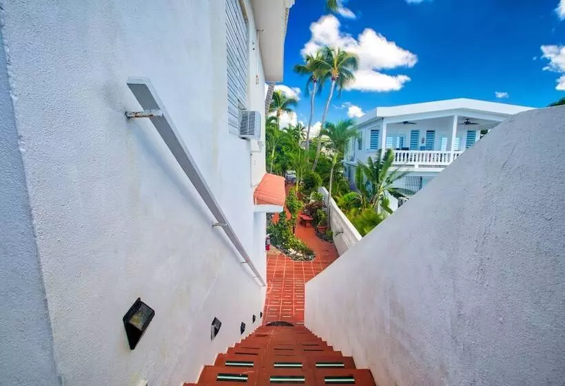 پانسیون Coconut Palms Inn