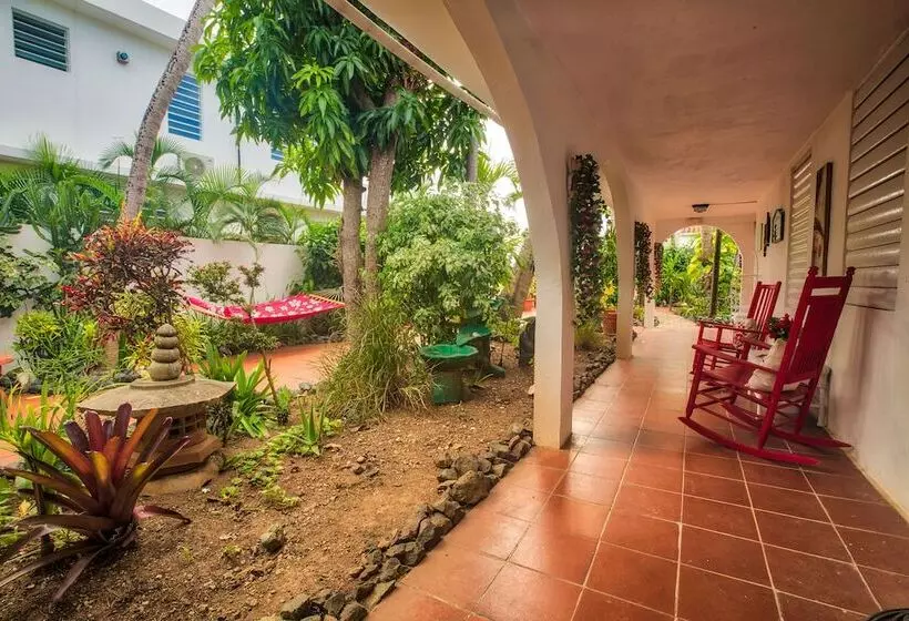 پانسیون Coconut Palms Inn