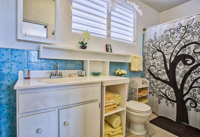 پانسیون Coconut Palms Inn