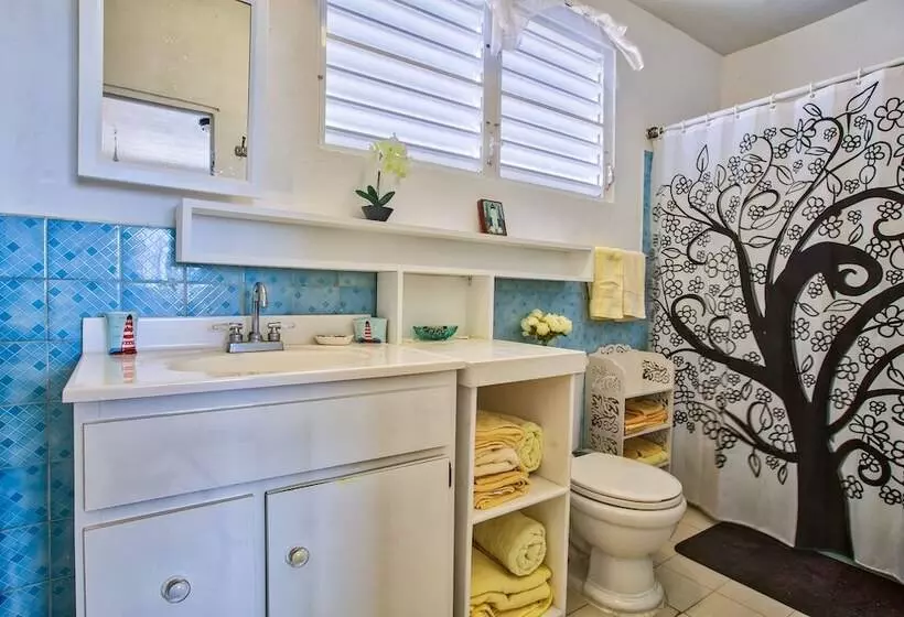 پانسیون Coconut Palms Inn