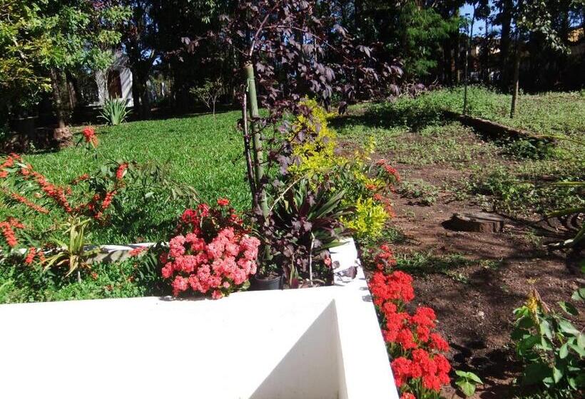 Pension Eco Pousada Passaredo