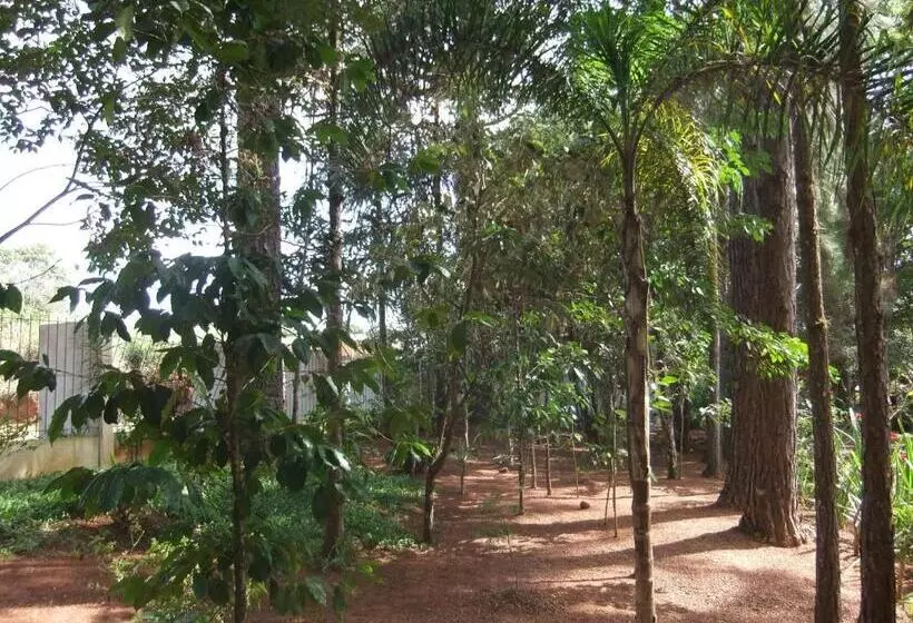 ペンション Eco Pousada Passaredo