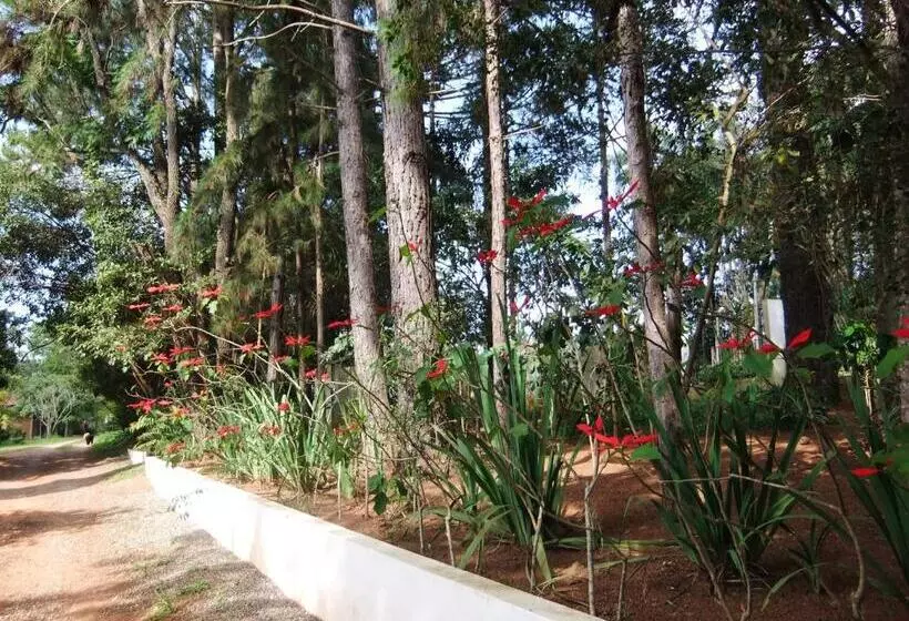 ペンション Eco Pousada Passaredo