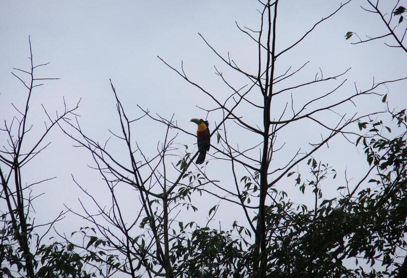 Pension Eco Pousada Passaredo