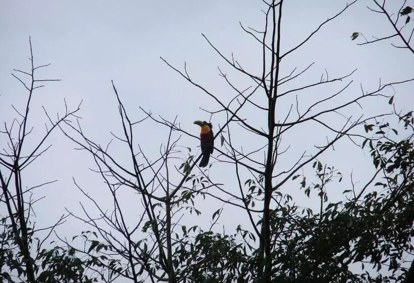 ペンション Eco Pousada Passaredo