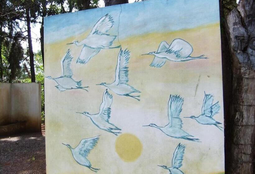 Pension Eco Pousada Passaredo